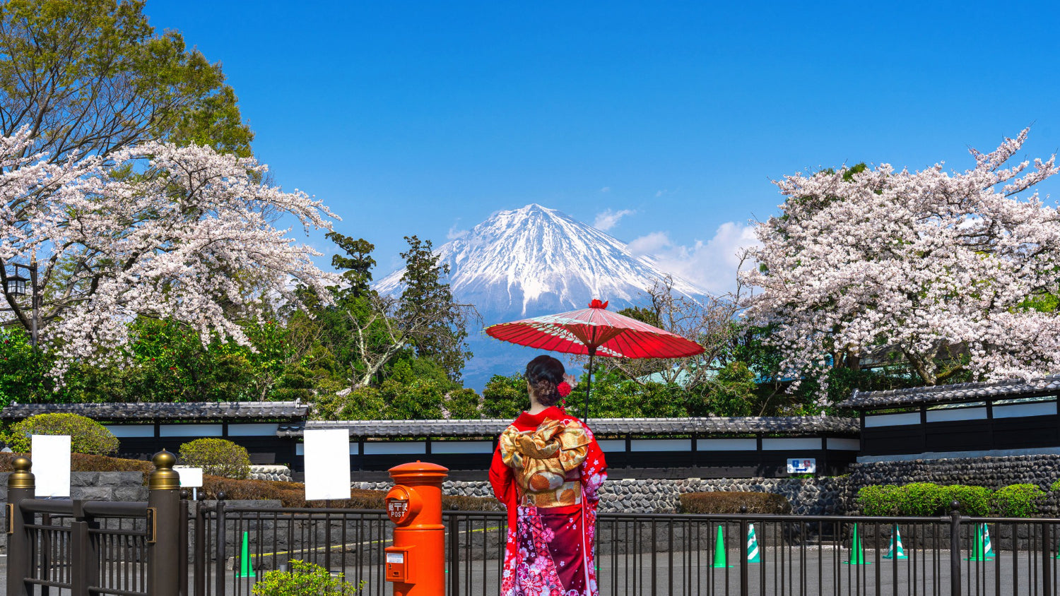 Japan travel during cherry blossom season