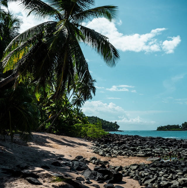 French Guiana eSIM