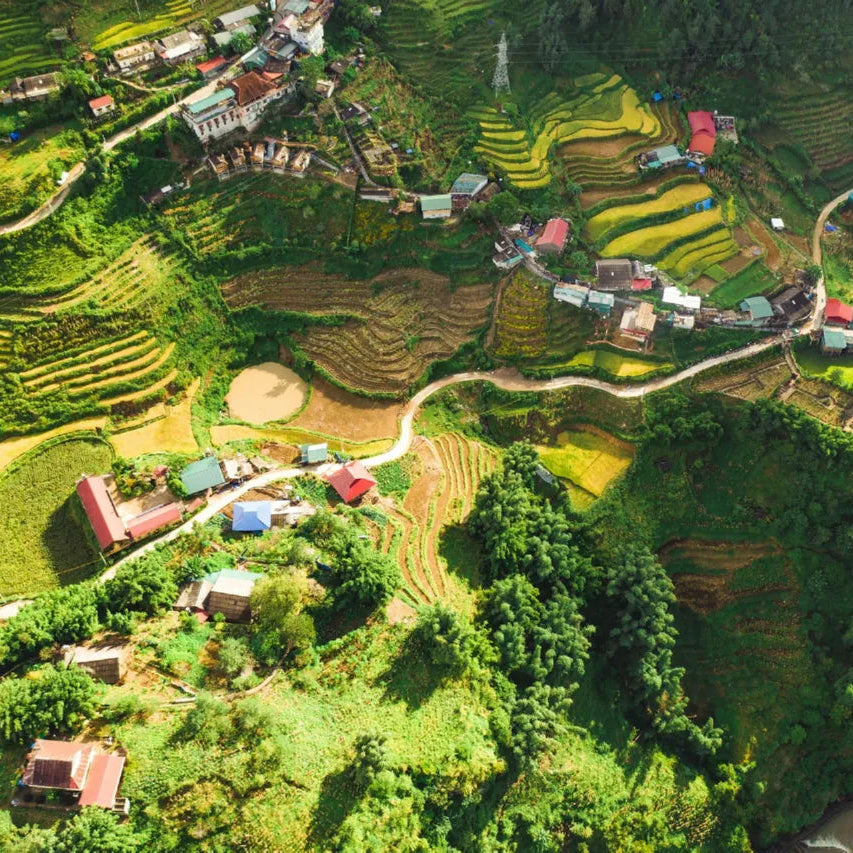 Aerial view of a village with terraced fields and houses nestled among greenery.
