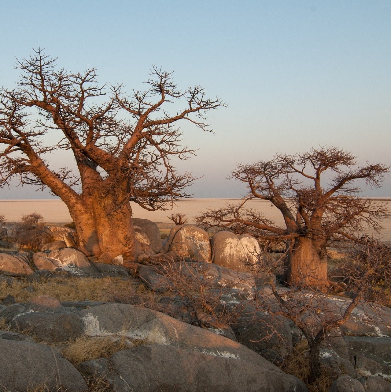 Botswana eSim