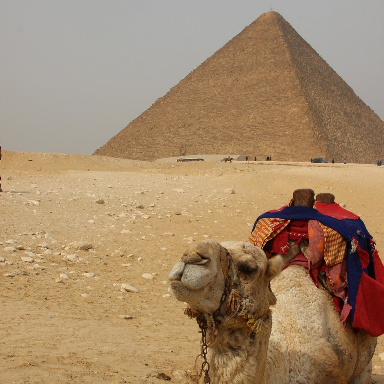 Egypt eSim