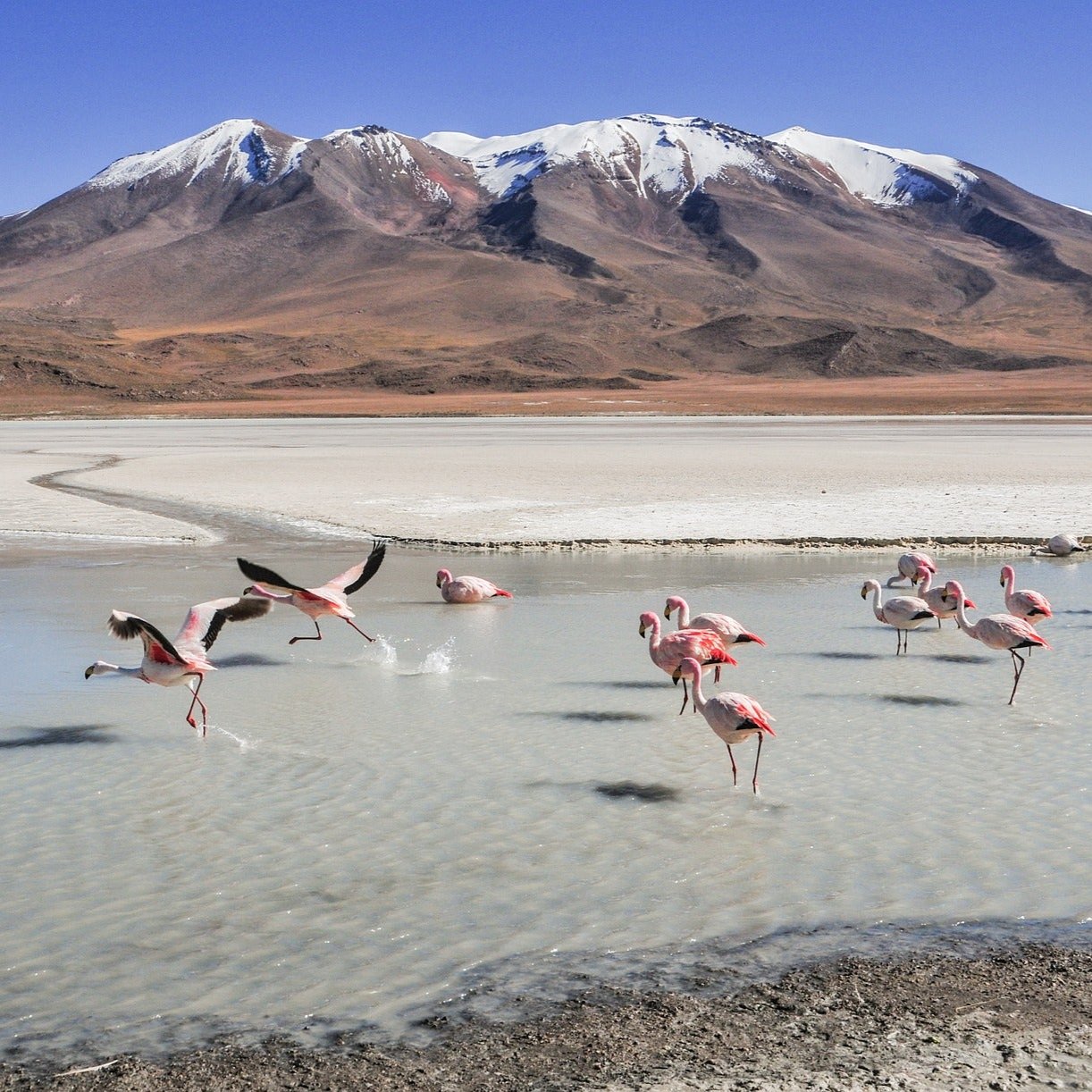 Bolivia eSim