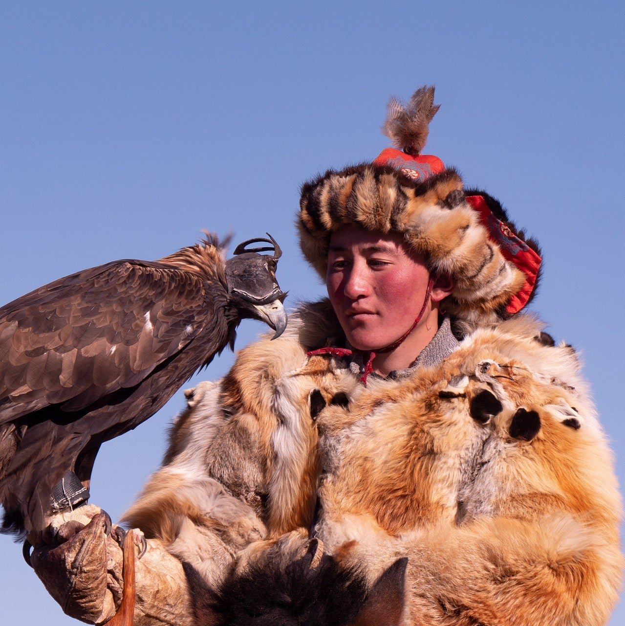 Mongolia eSim