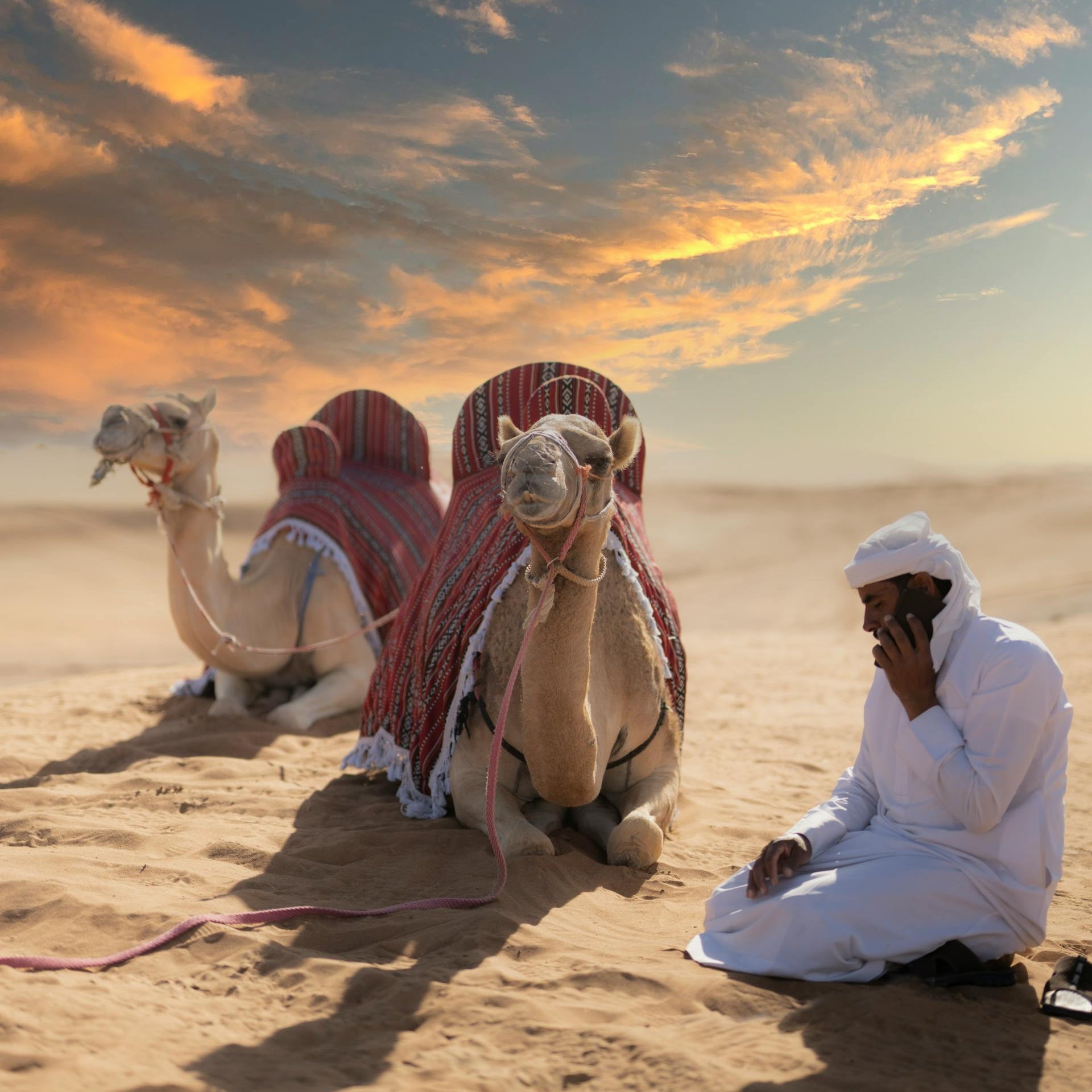 Gulf Region